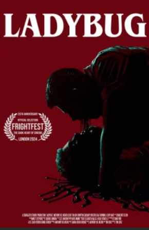 Божья коровка (2024)